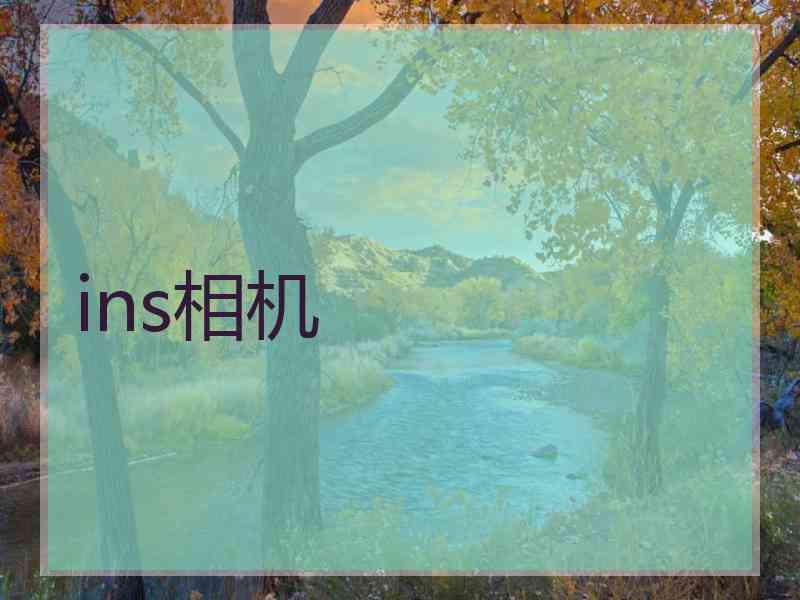 ins相机
