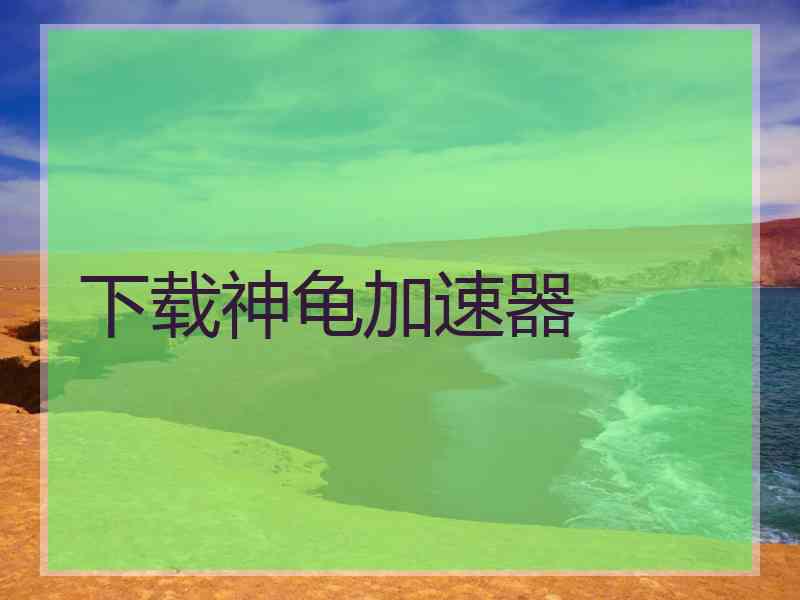 下载神龟加速器