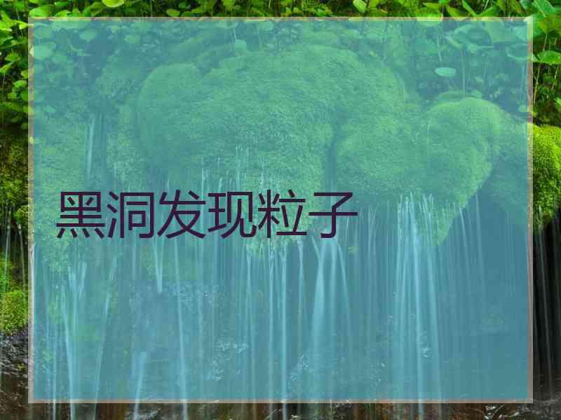 黑洞发现粒子