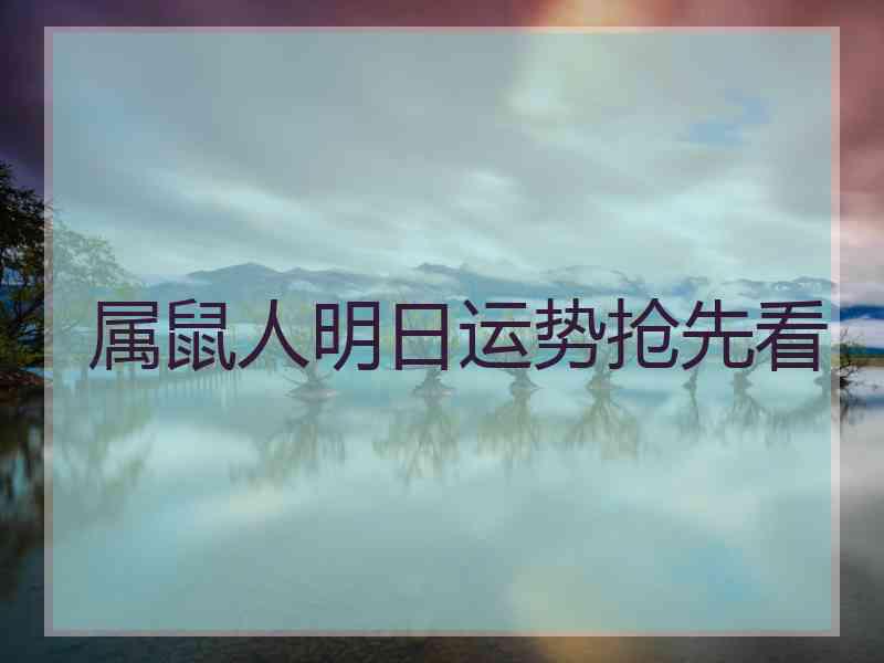 属鼠人明日运势抢先看