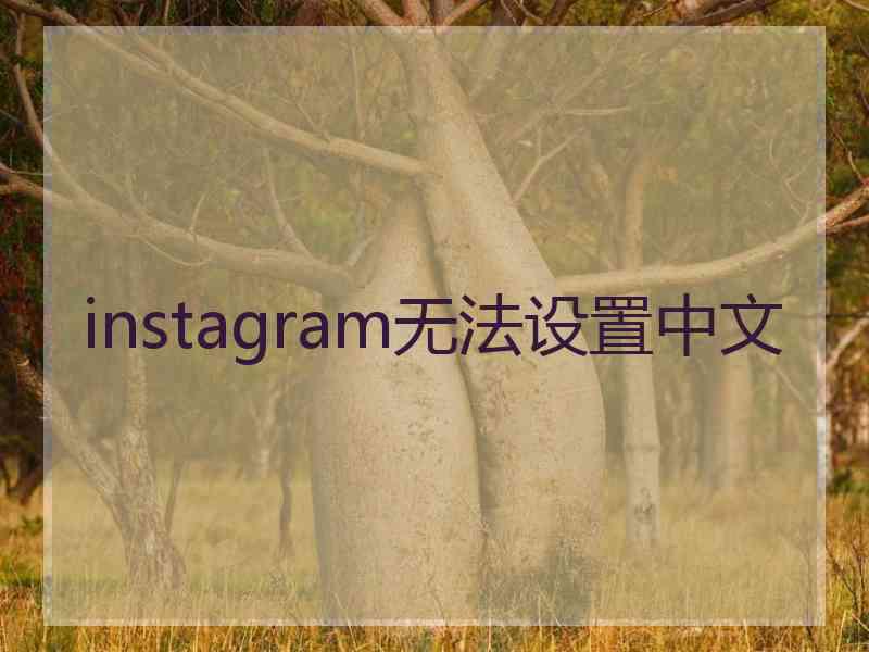 instagram无法设置中文