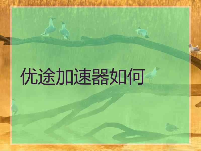 优途加速器如何
