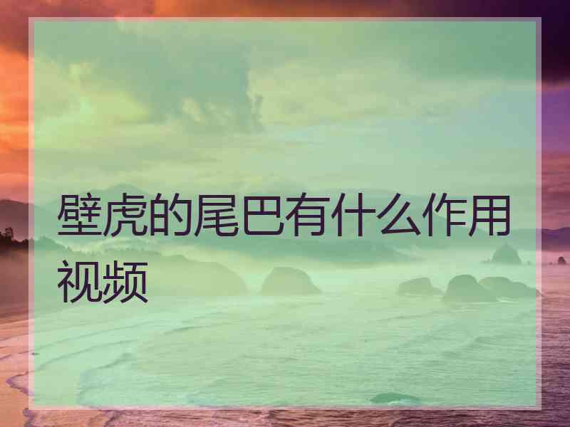 壁虎的尾巴有什么作用视频