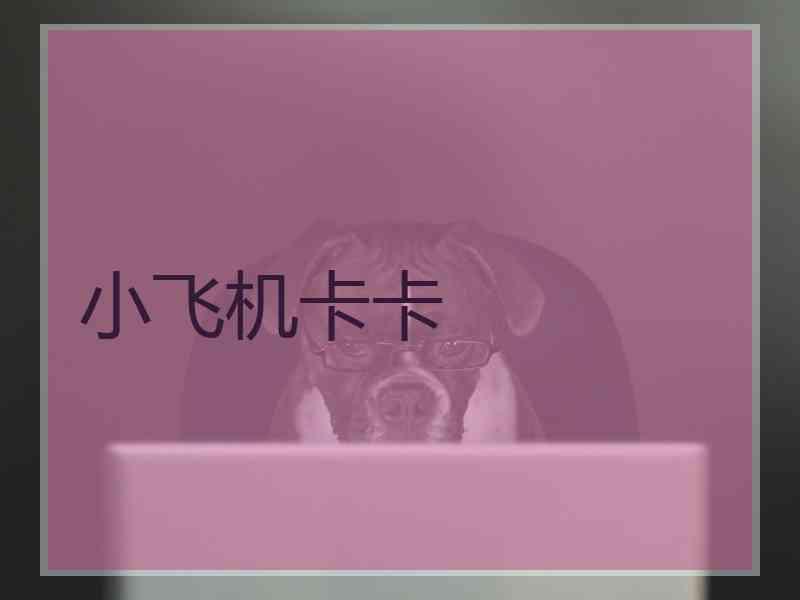 小飞机卡卡