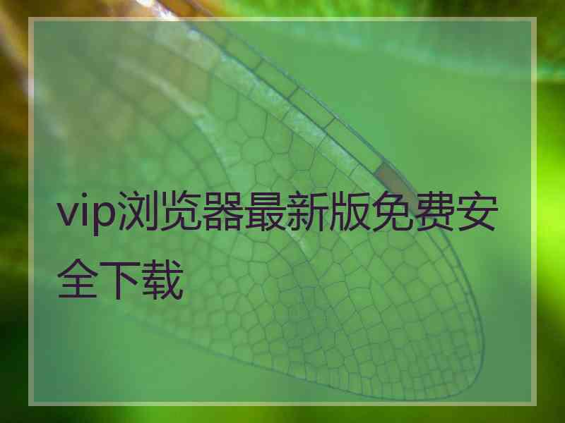 vip浏览器最新版免费安全下载