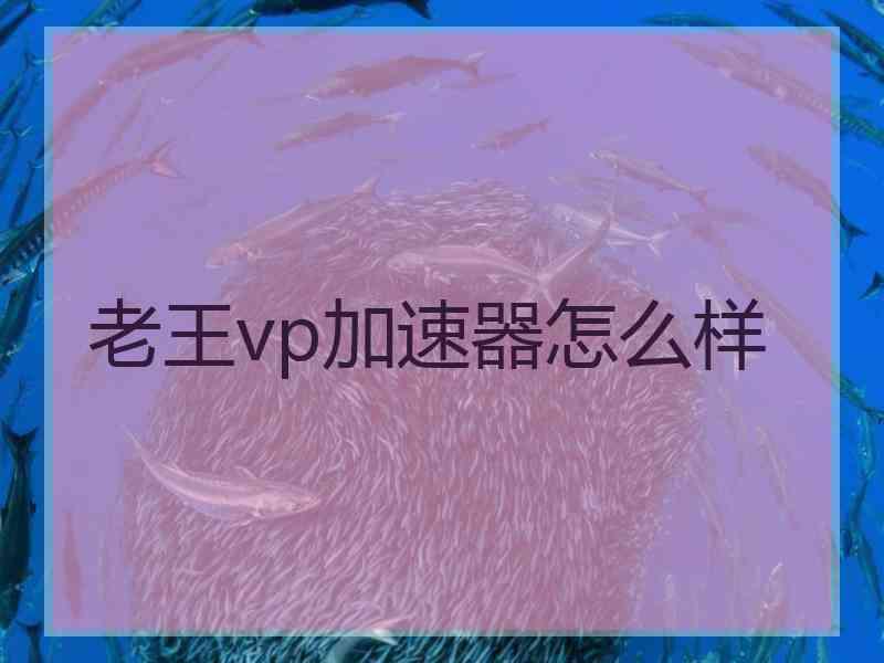 老王vp加速器怎么样