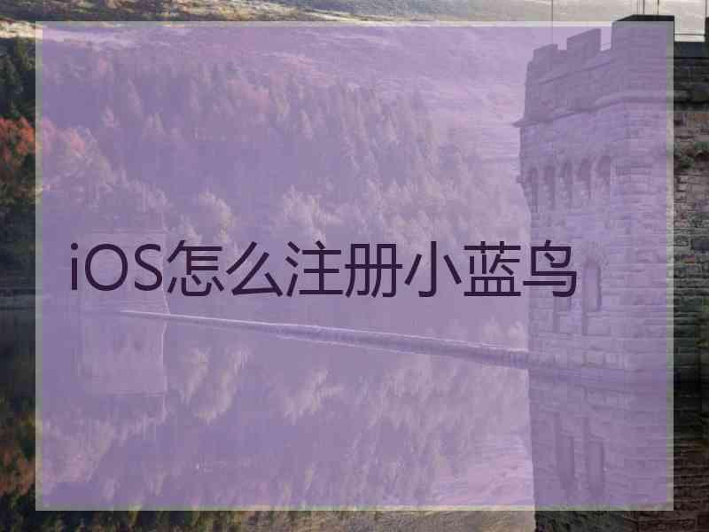 iOS怎么注册小蓝鸟