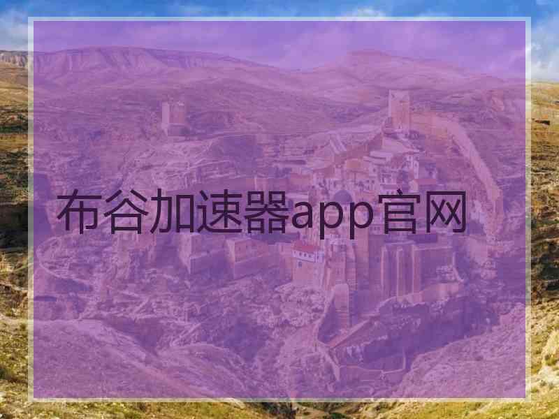 布谷加速器app官网