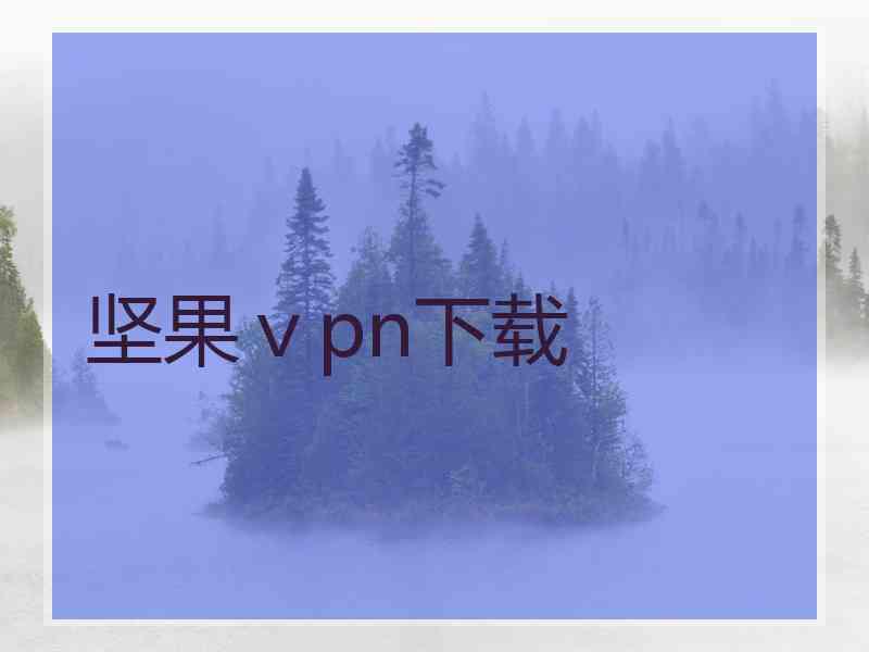 坚果ⅴpn下载