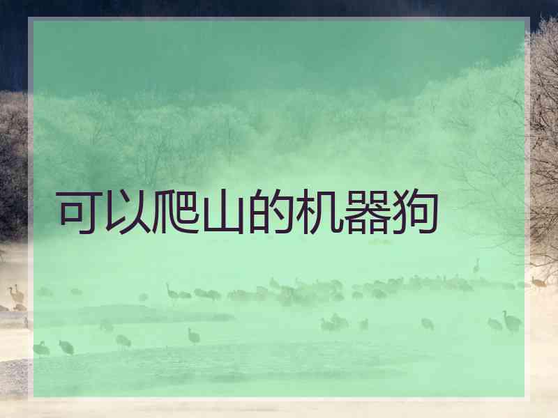 可以爬山的机器狗