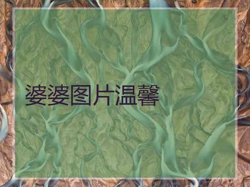 婆婆图片温馨