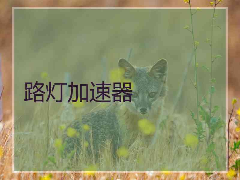 路灯加速器