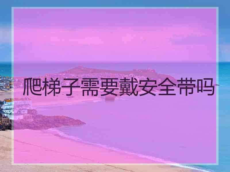 爬梯子需要戴安全带吗