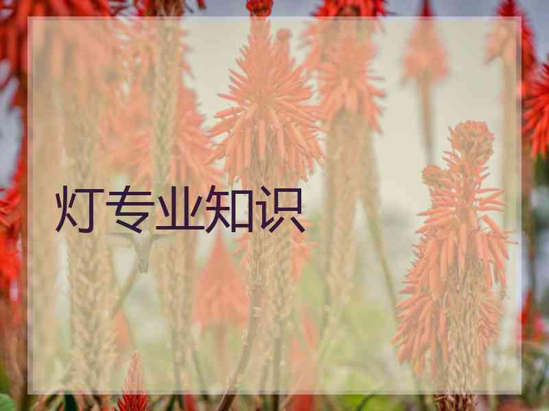 灯专业知识