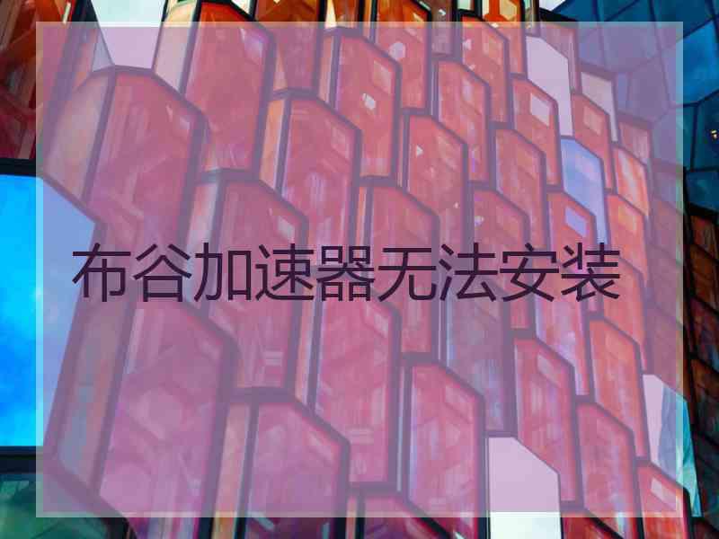 布谷加速器无法安装