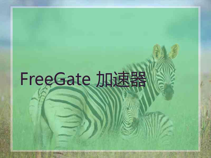 FreeGate 加速器
