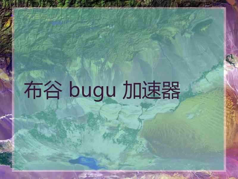 布谷 bugu 加速器