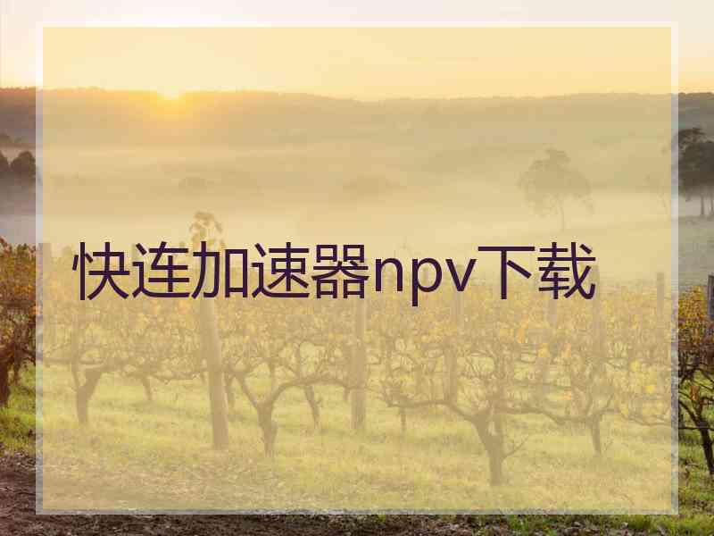 快连加速器npv下载