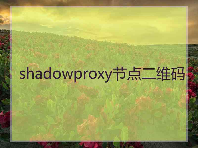 shadowproxy节点二维码