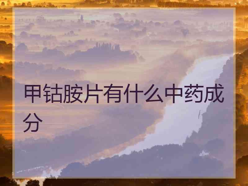 甲钴胺片有什么中药成分