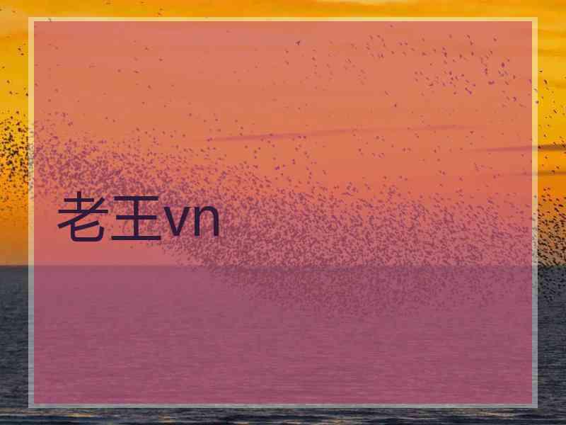 老王vn