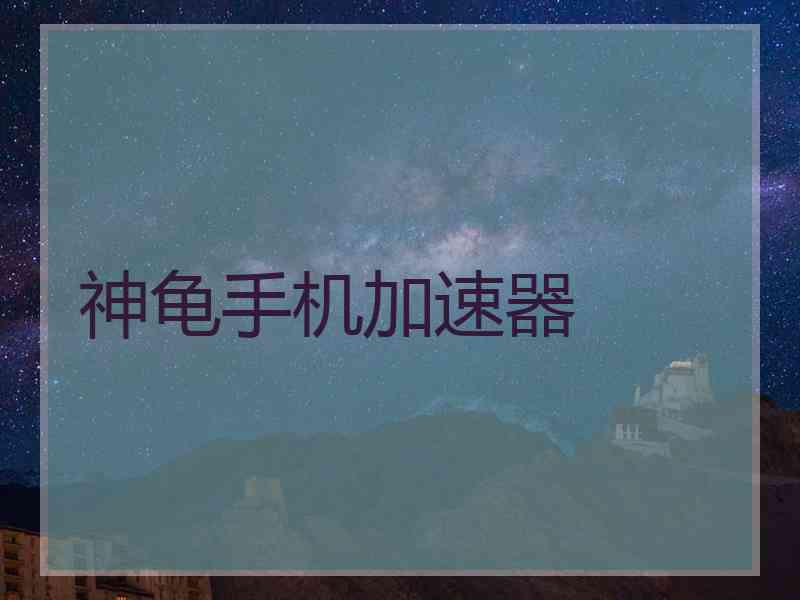 神龟手机加速器