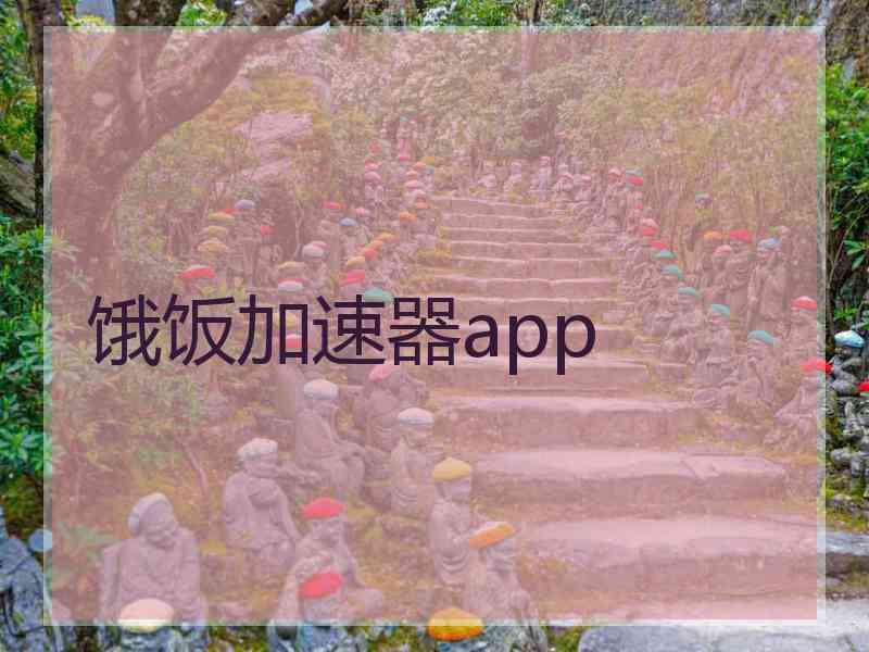 饿饭加速器app