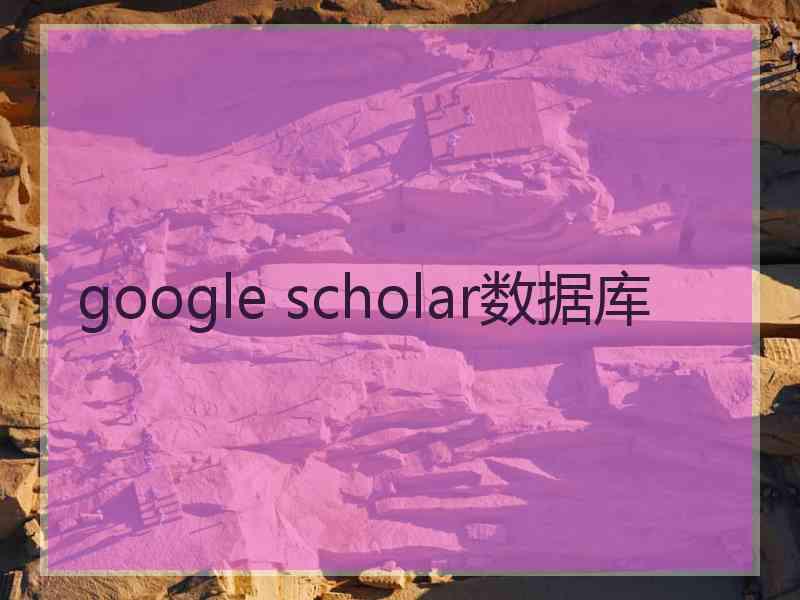 google scholar数据库