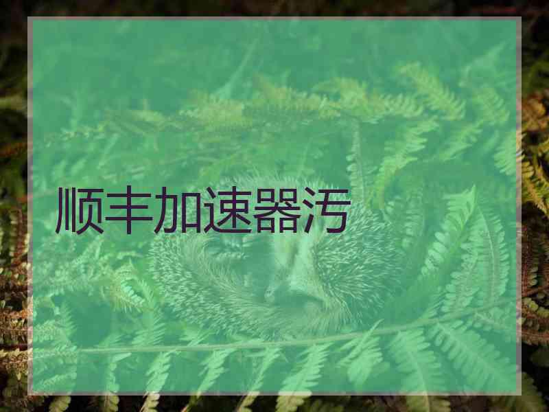 顺丰加速器汚
