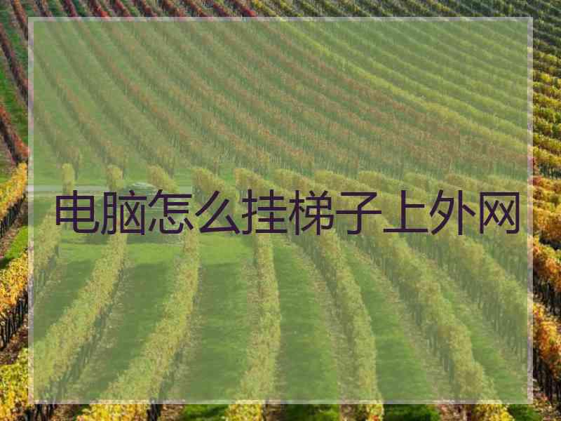 电脑怎么挂梯子上外网