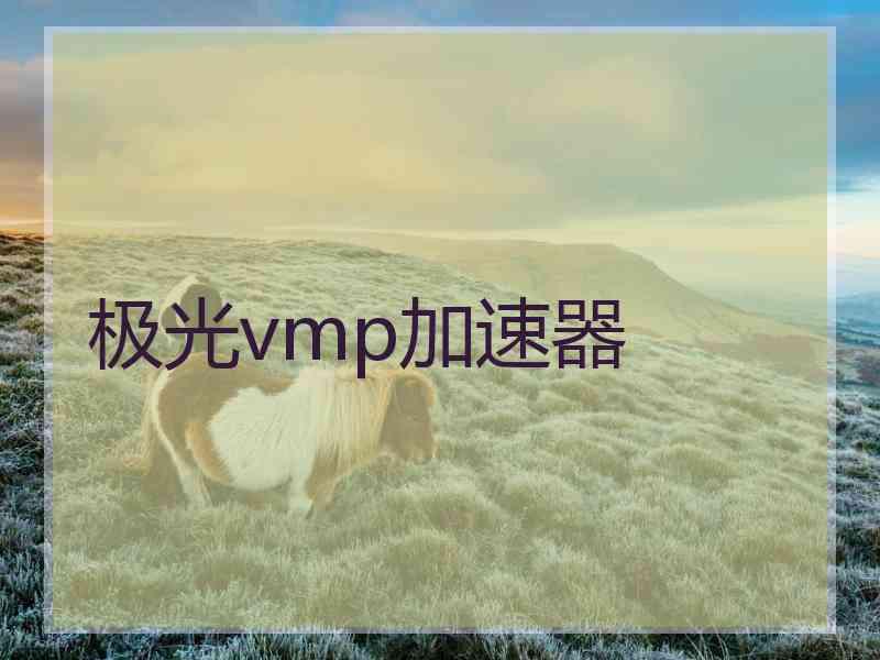 极光vmp加速器