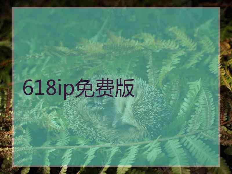 618ip免费版