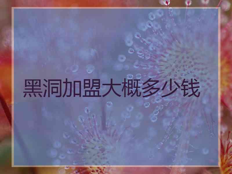 黑洞加盟大概多少钱