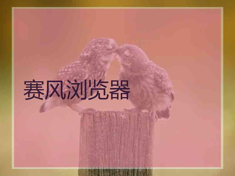 赛风浏览器