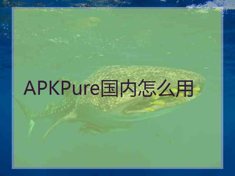 APKPure国内怎么用