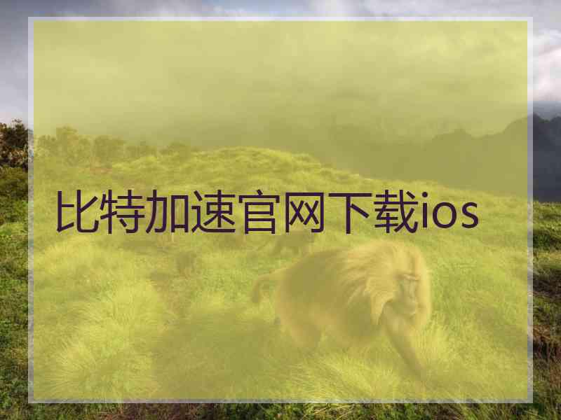 比特加速官网下载ios