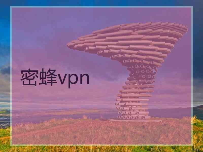 密蜂vpn