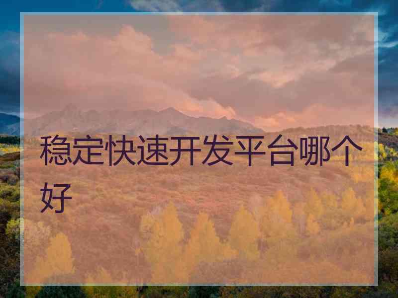 稳定快速开发平台哪个好