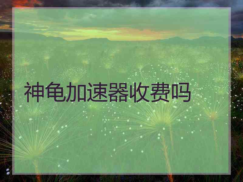 神龟加速器收费吗