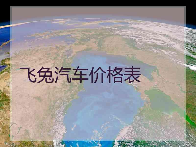 飞兔汽车价格表