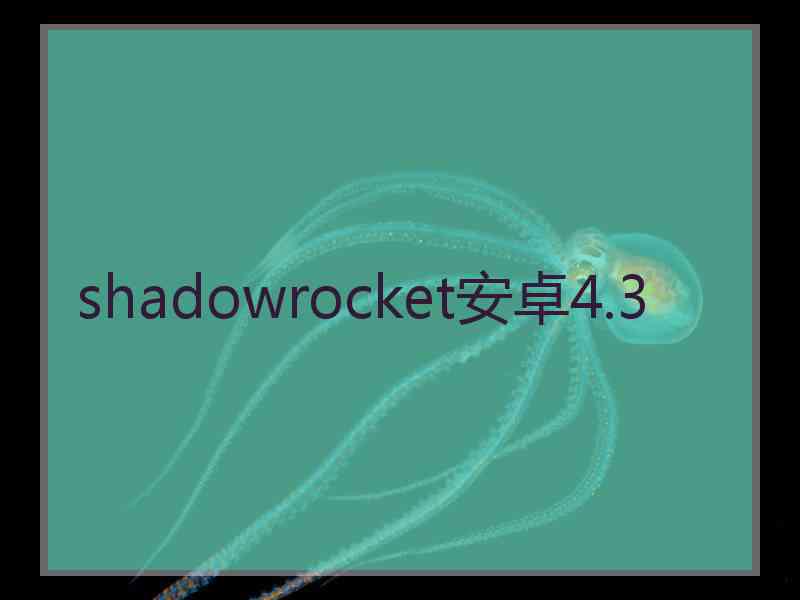 shadowrocket安卓4.3