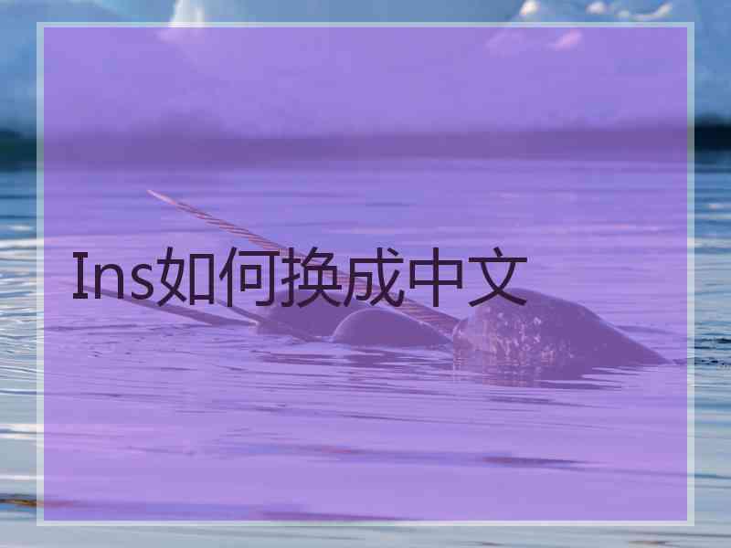 Ins如何换成中文