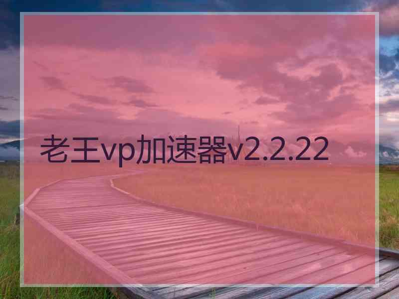 老王vp加速器v2.2.22
