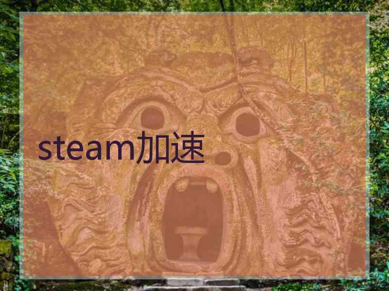 steam加速