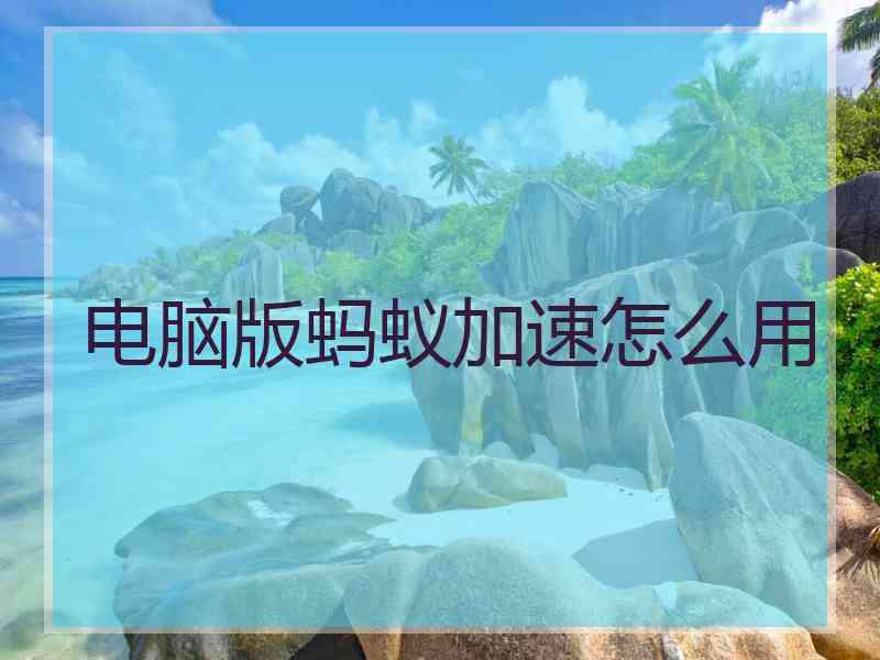 电脑版蚂蚁加速怎么用