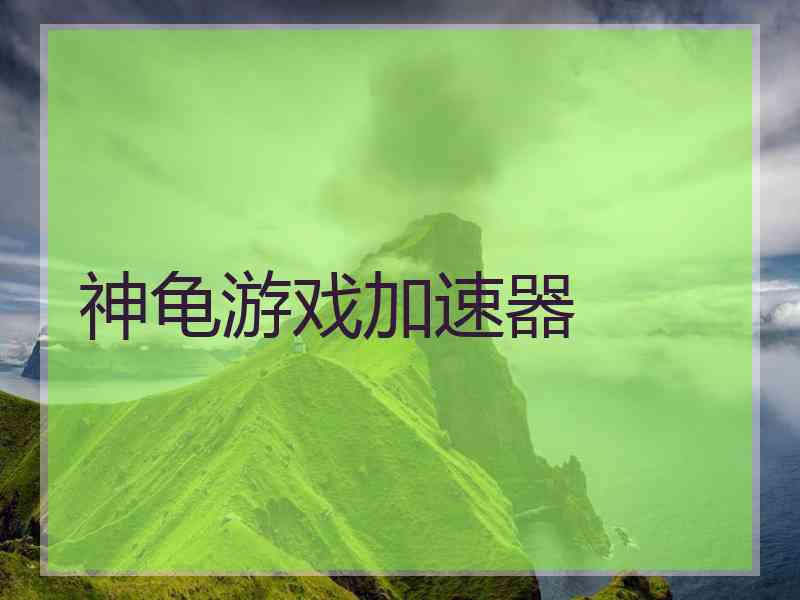 神龟游戏加速器