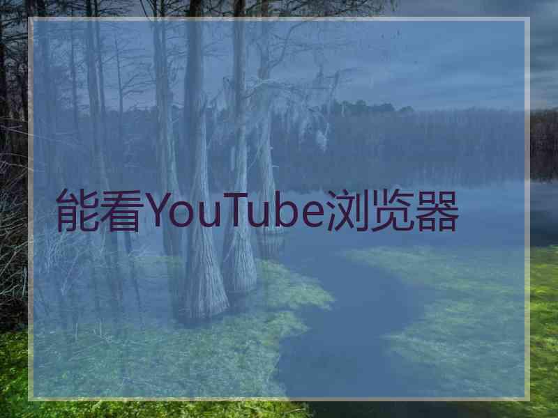 能看YouTube浏览器