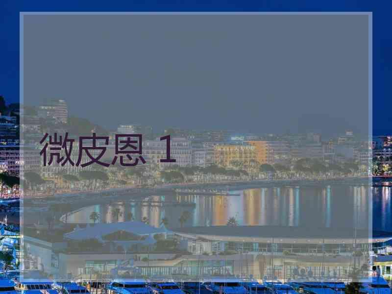 微皮恩 1