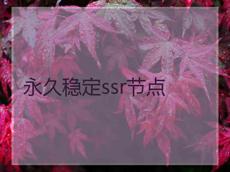 永久稳定ssr节点