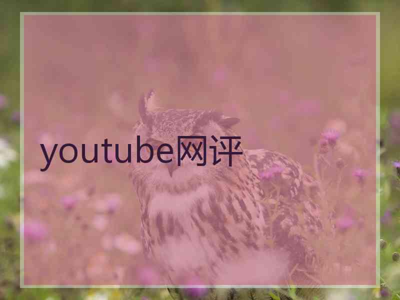youtube网评